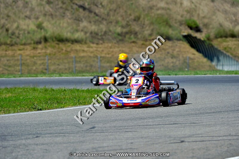DSC_ (1519).jpg